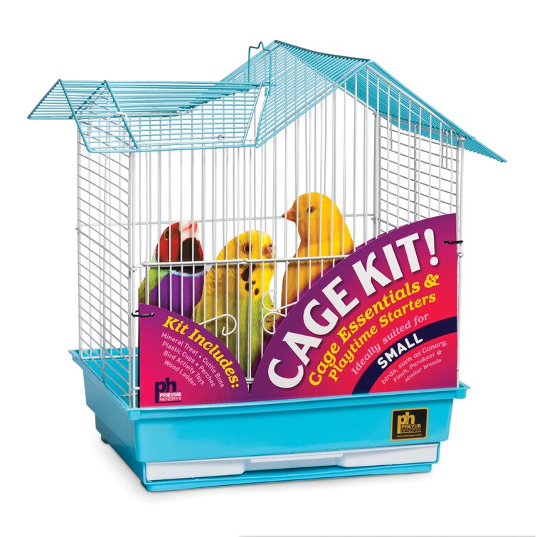 Toy canary 2024 in cage